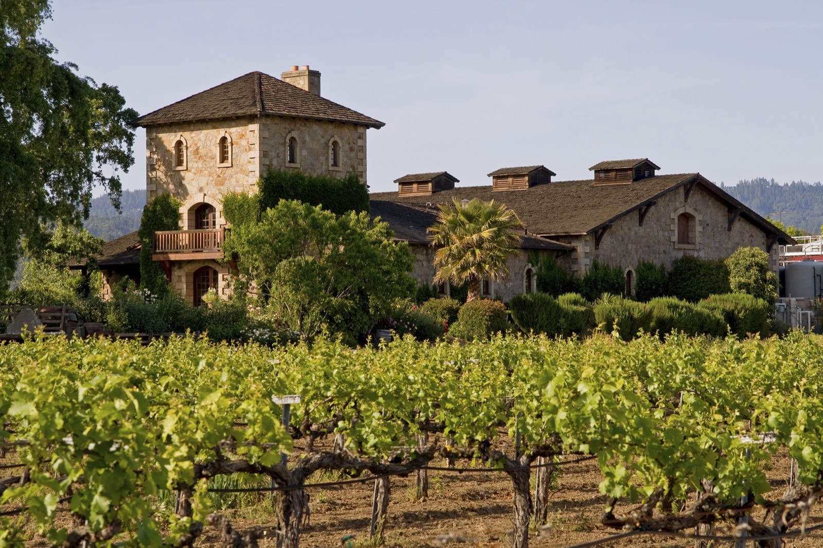 0724.Napa Valley Vineyard