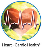 Blood Flow and Brain Health