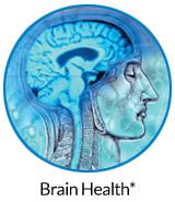 Blood Flow and Brain Health