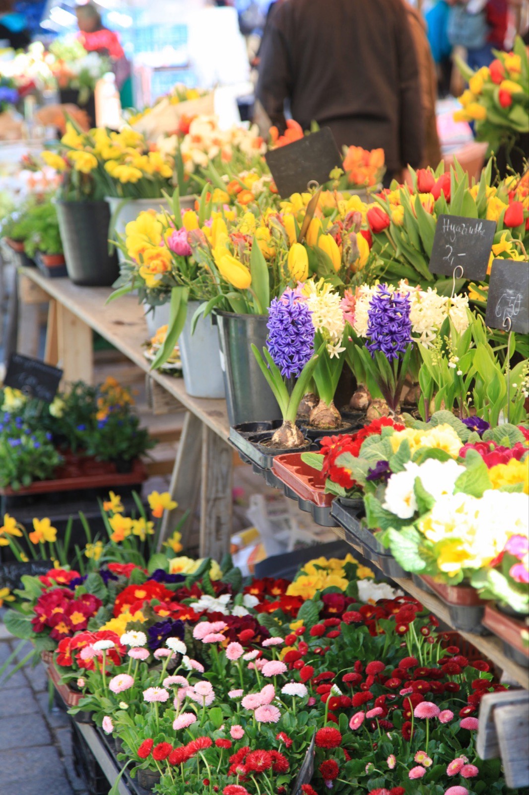 Spring Activities