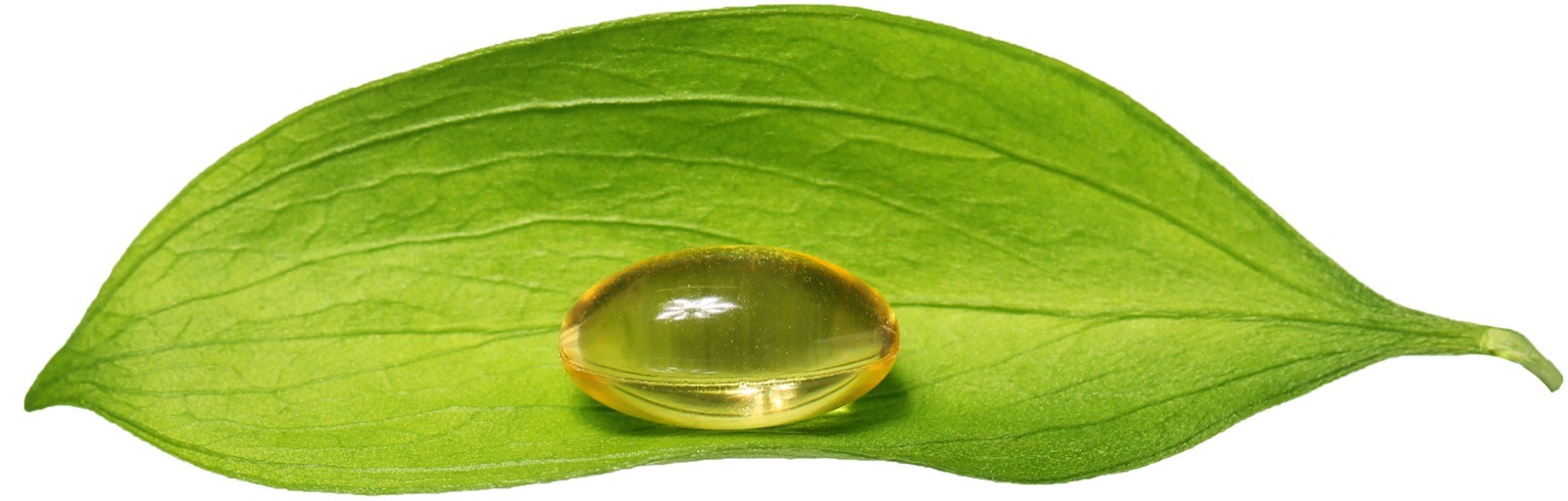 fish oil leaf drms_36422997tight .jpg