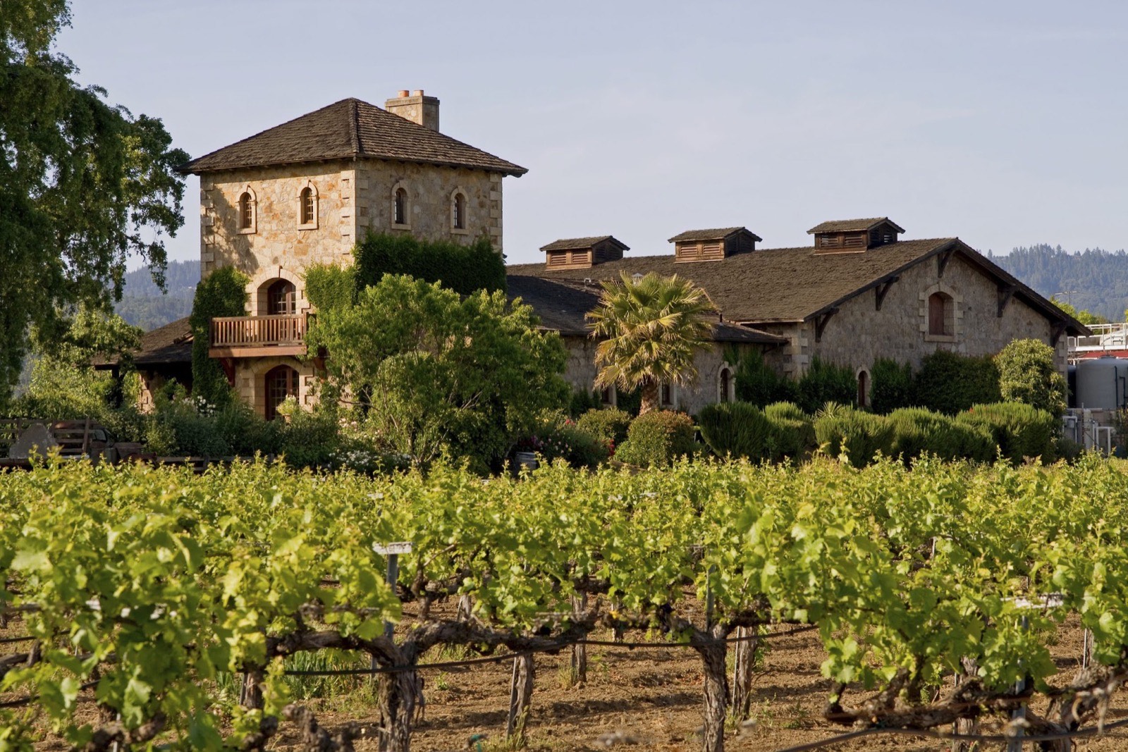 International Merlot Day (Without the Alcohol)