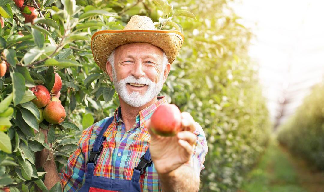 November 1st Is National Vinegar Day