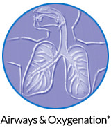pw-ov-airways.jpg