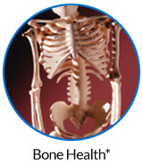 pw-ov-bone.jpg
