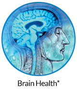 pw-ov-brain.jpg