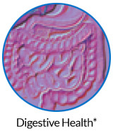 pw-ov-digest.jpg