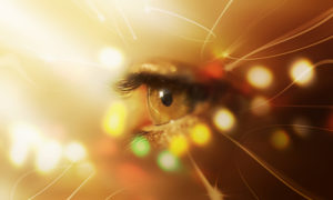 Seeking Help for Macular Degeneration: From the Desk of Dr. Ben